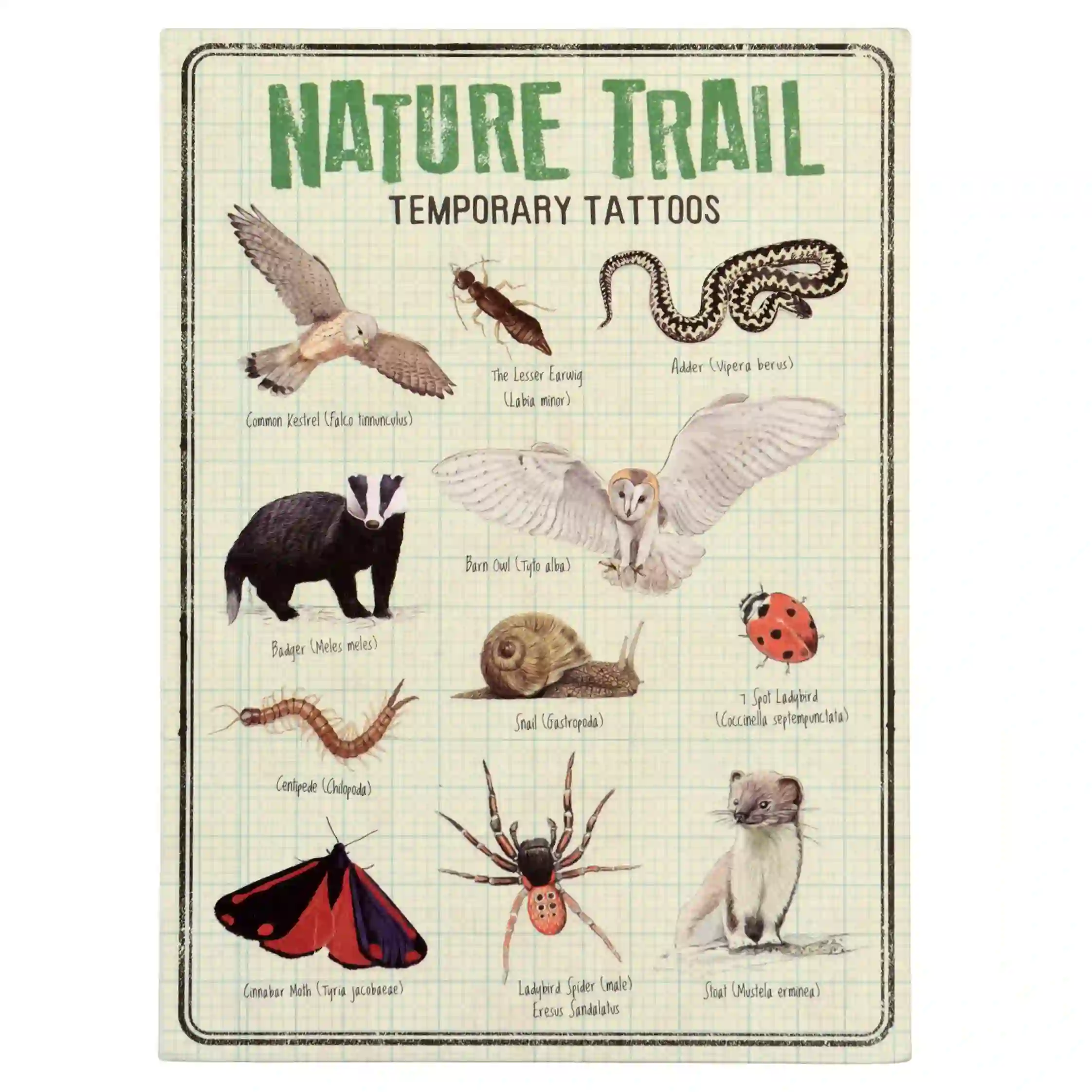 tatouages temporaires nature trail