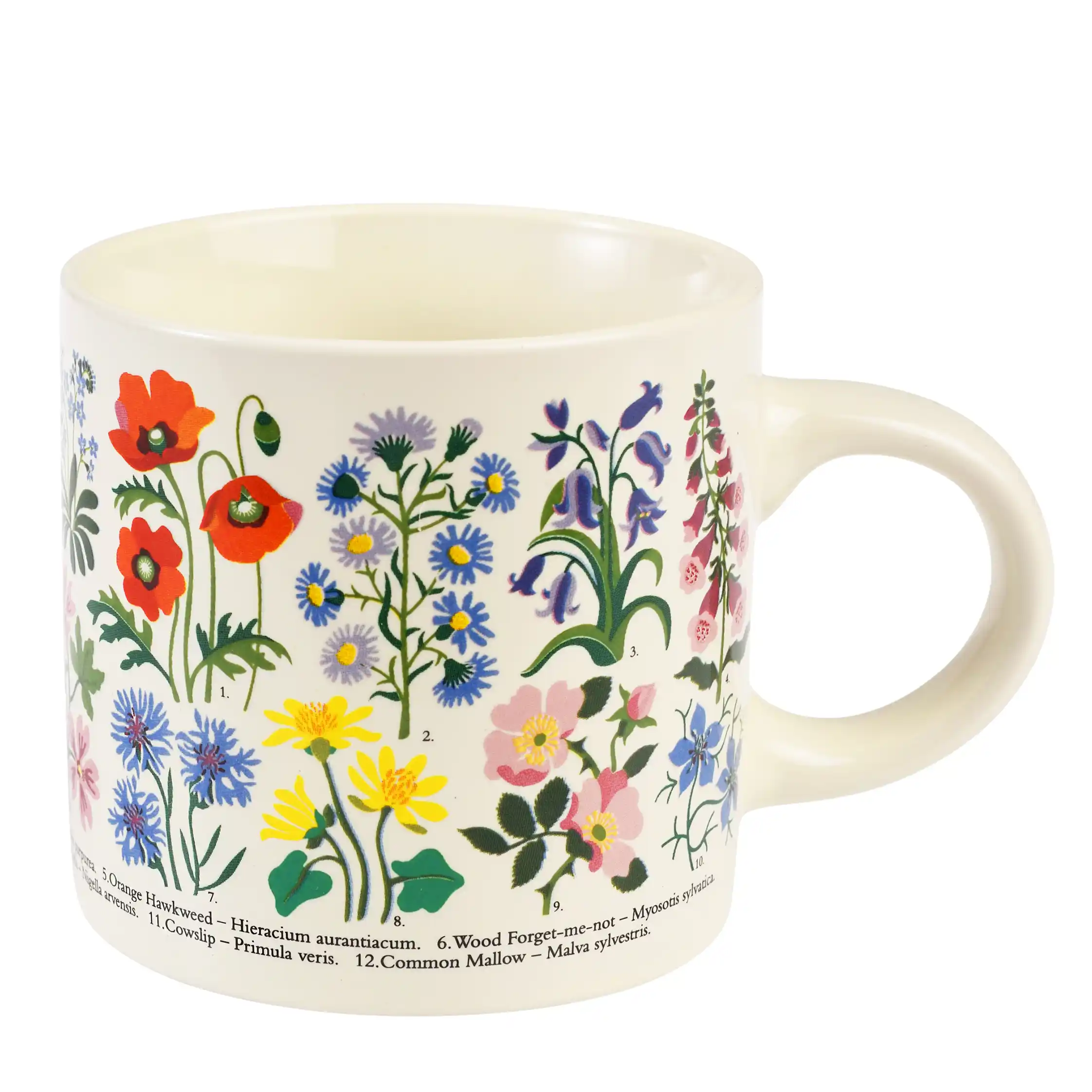 mug wild flowers