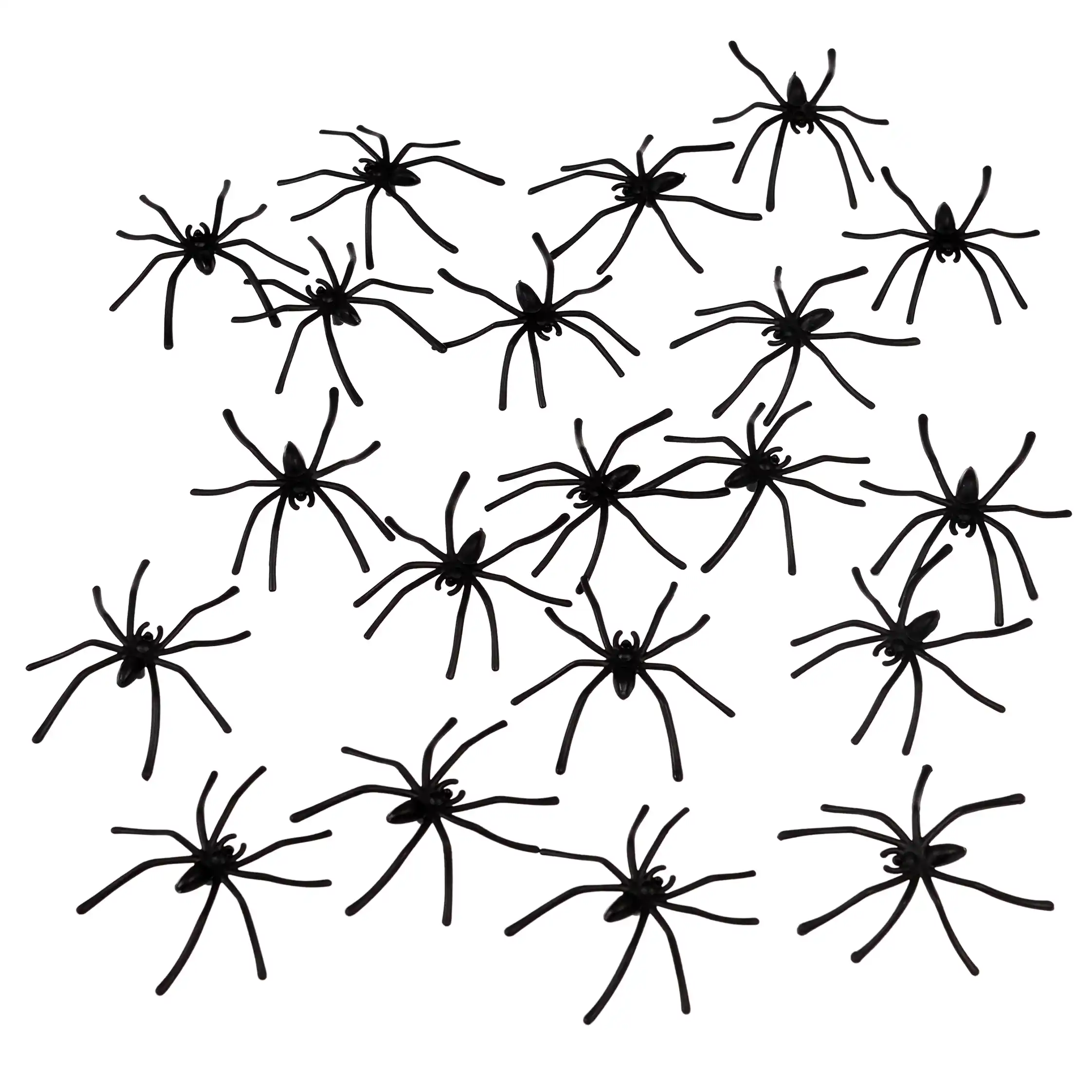 box of 20 spiders