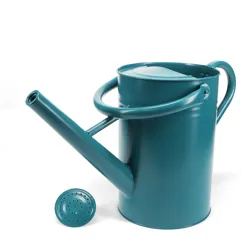 galvanised steel watering can 4.5l - blue galvanised steel watering can 4.5l - blue