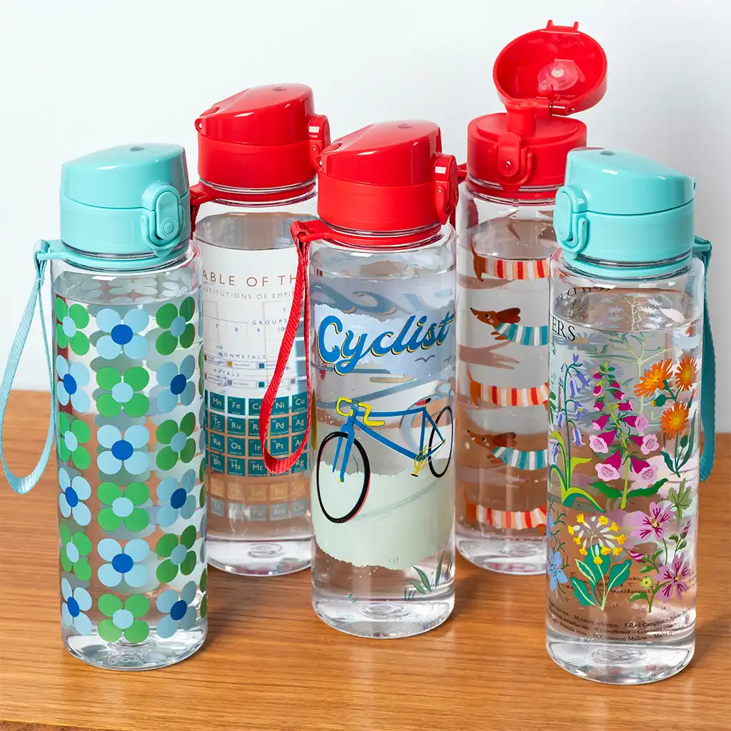 drinks bottle with push button lid 700ml - wild flowers