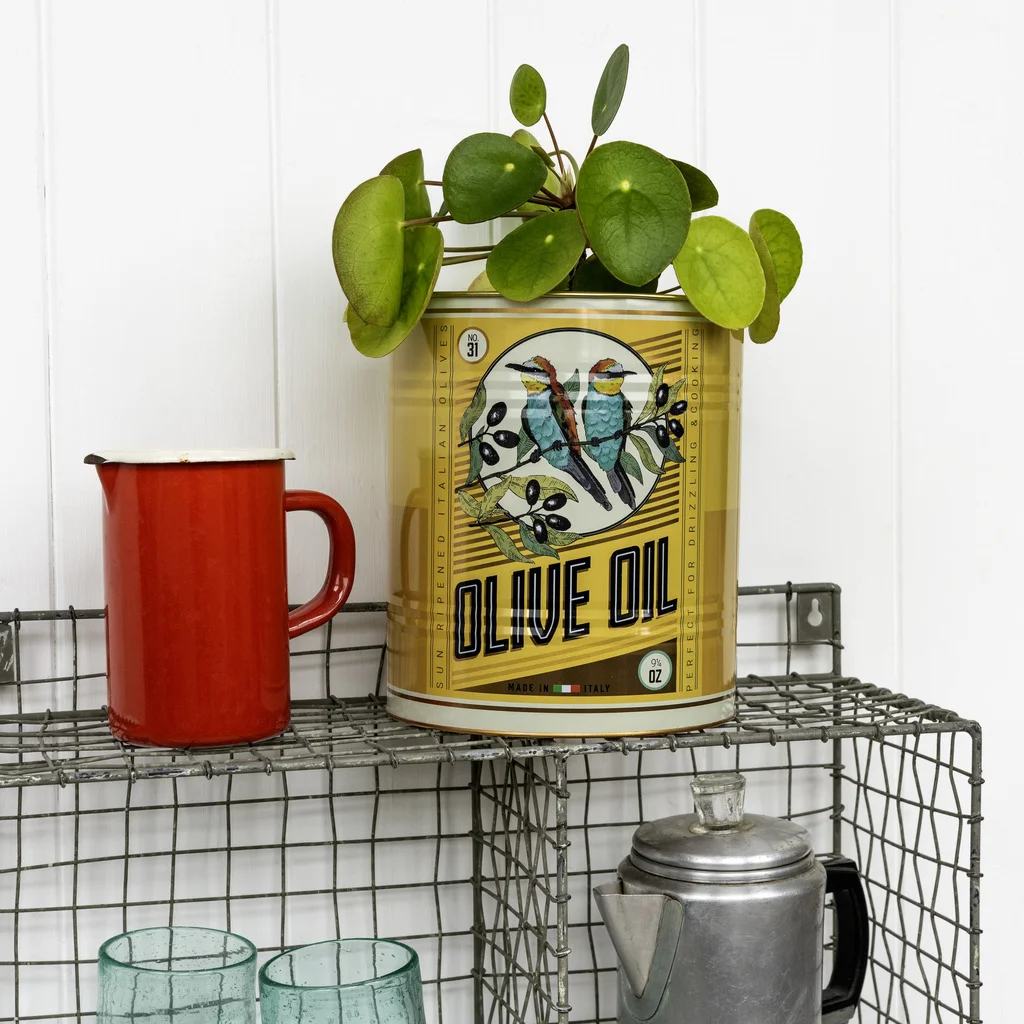 xl storage tins (set of 2) - olive oil