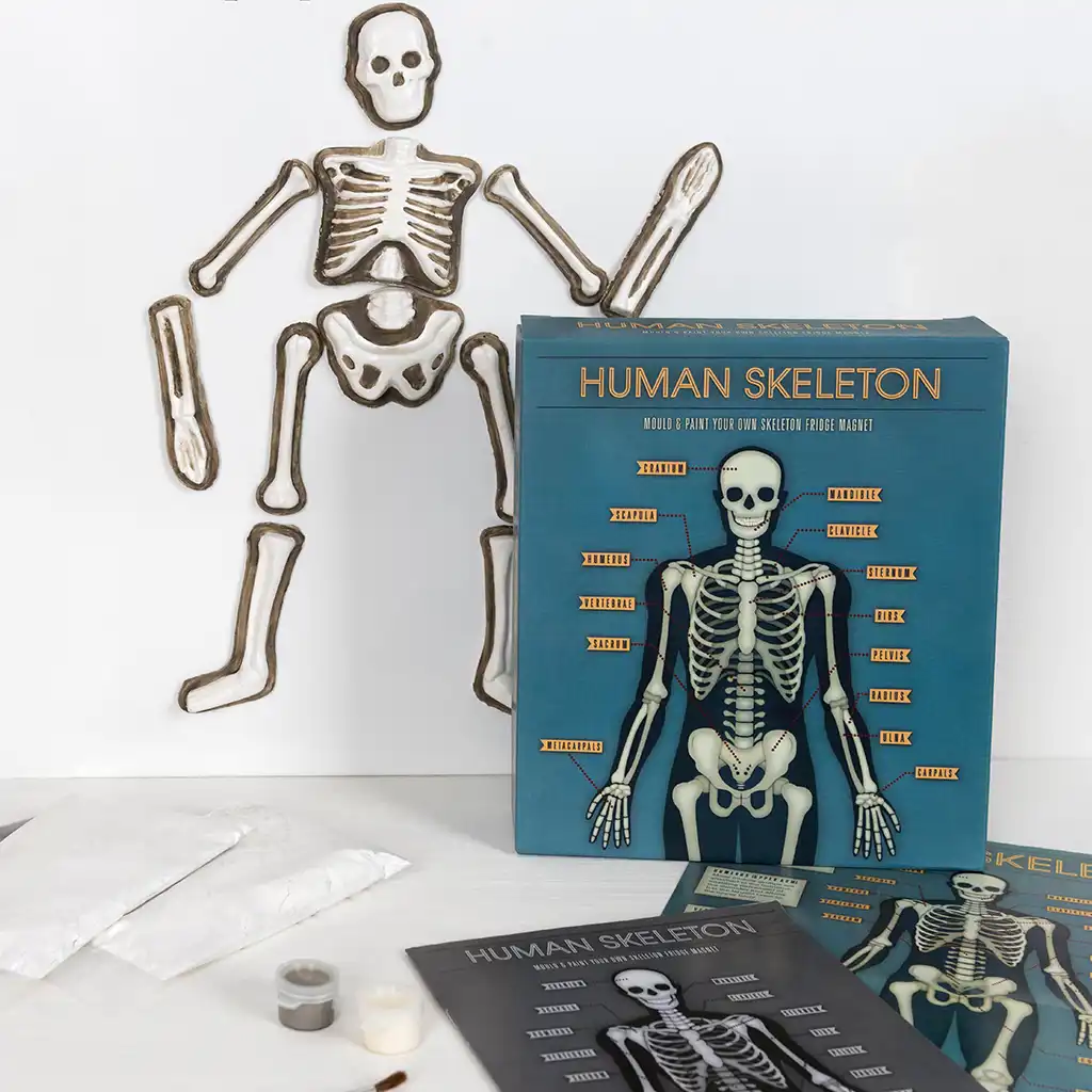 make your own glow in the dark magnetic skeleton