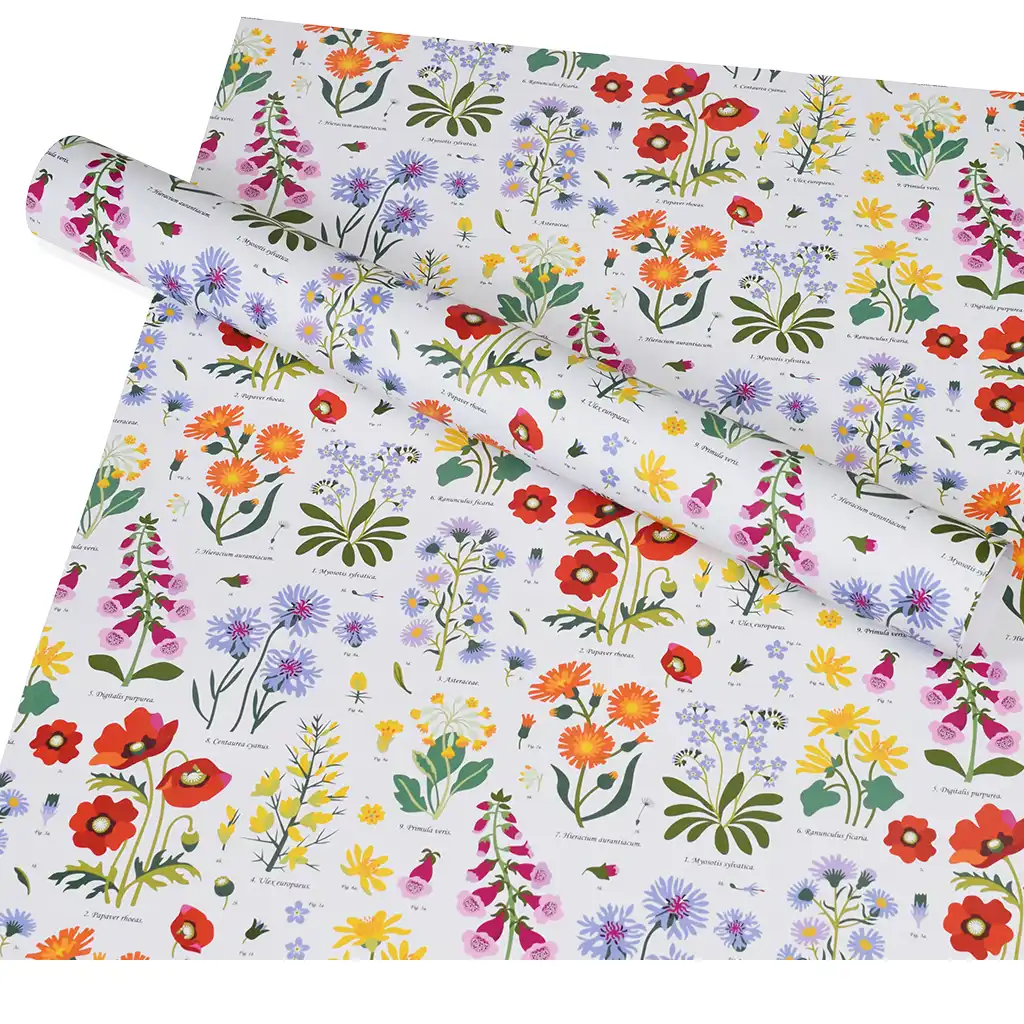 feuilles de papier cadeau - wild flowers