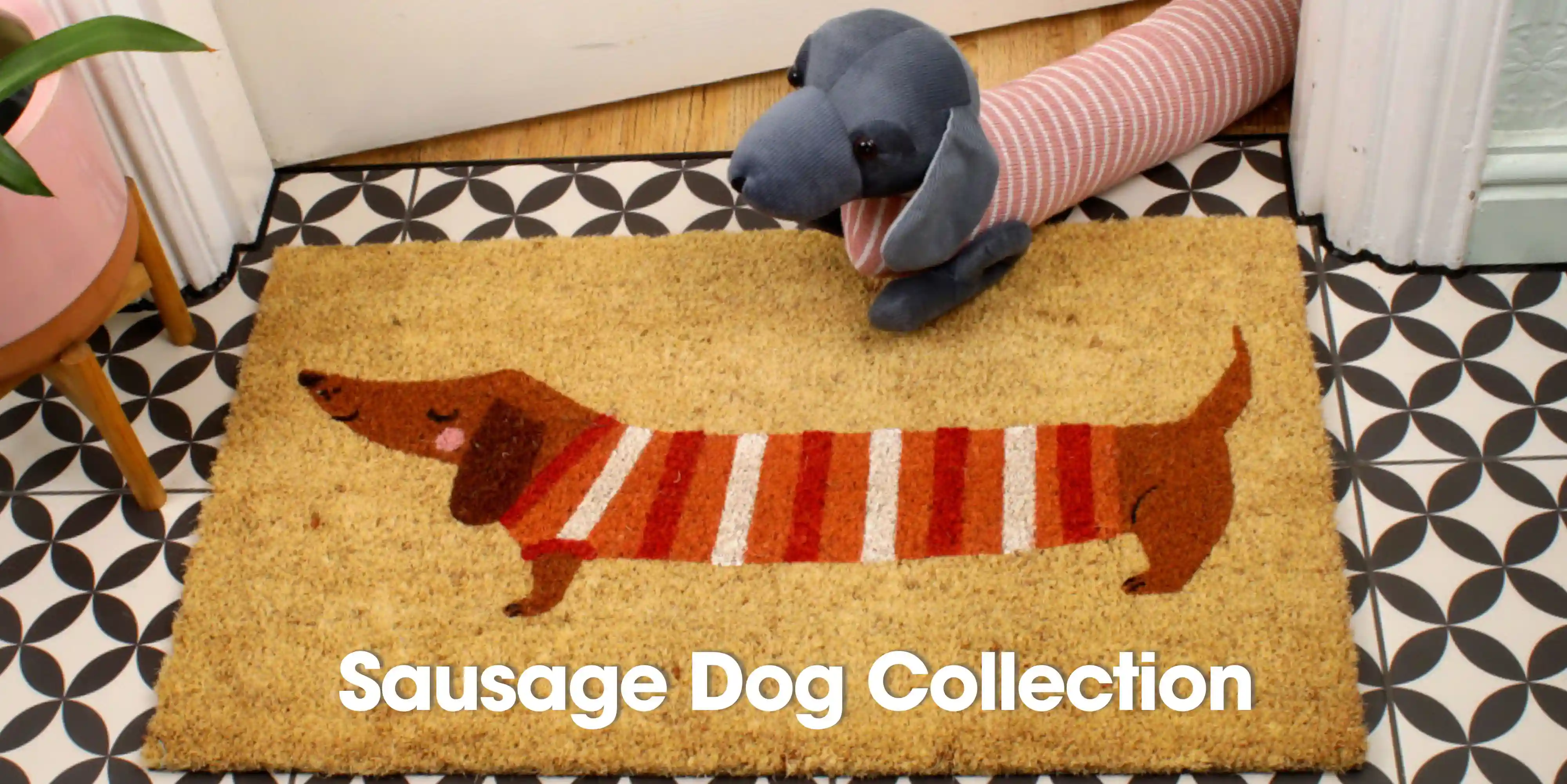 Sausage Dog