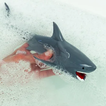 shark bath time water squirter shark bath time water squirter