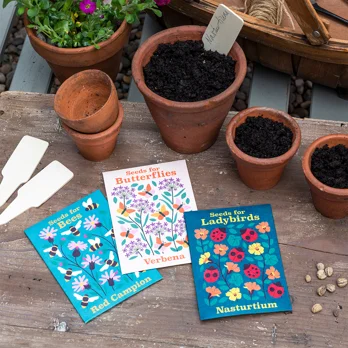 pack of flower seeds - nature collection pack of flower seeds - nature collection