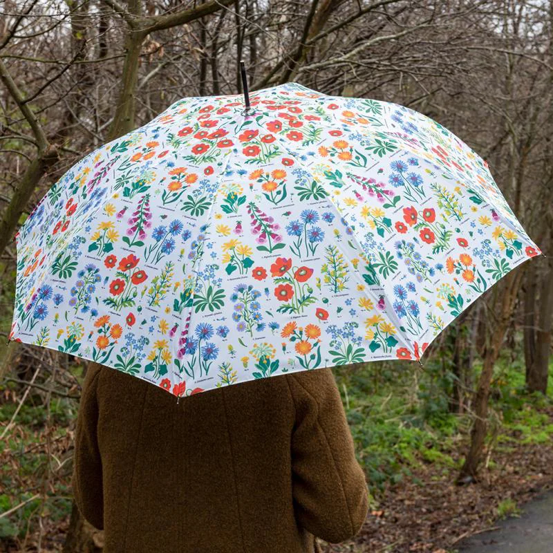 parapluie wild flowers