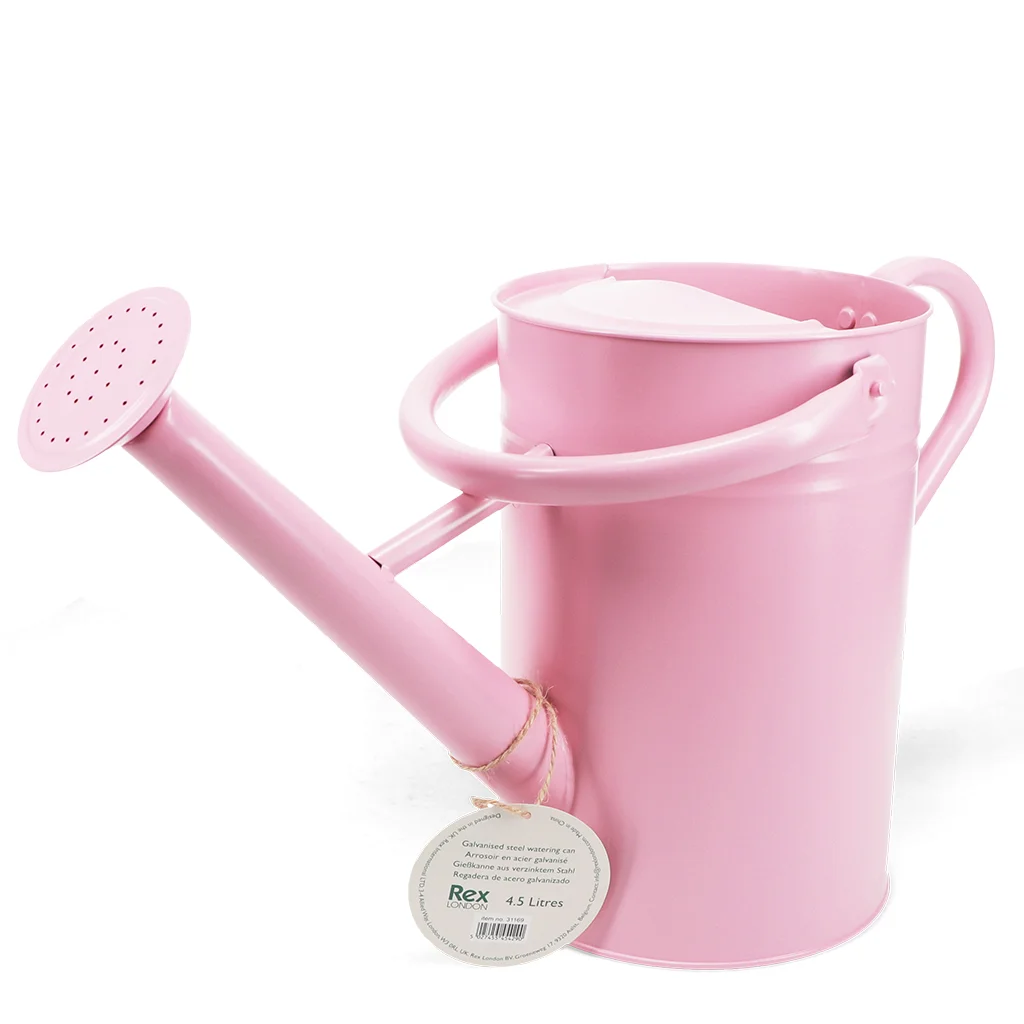 gießkanne aus verzinktem stahl, 4,5 l - rosa