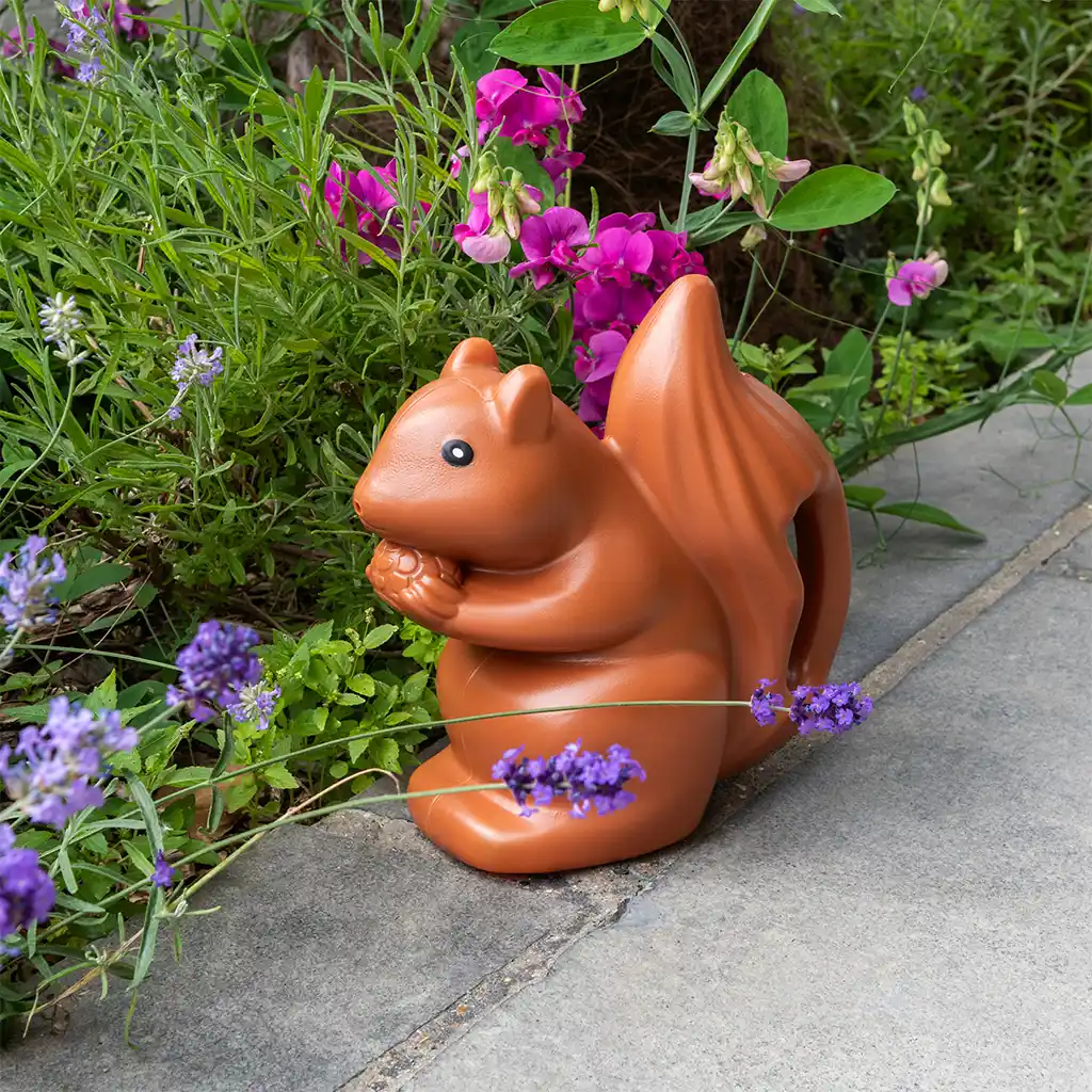 watering can (1.6ltr) - squirrel