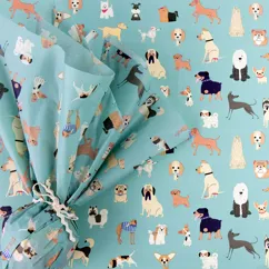 tissue paper (10 sheets) - best in show tissue paper (10 sheets) - best in show