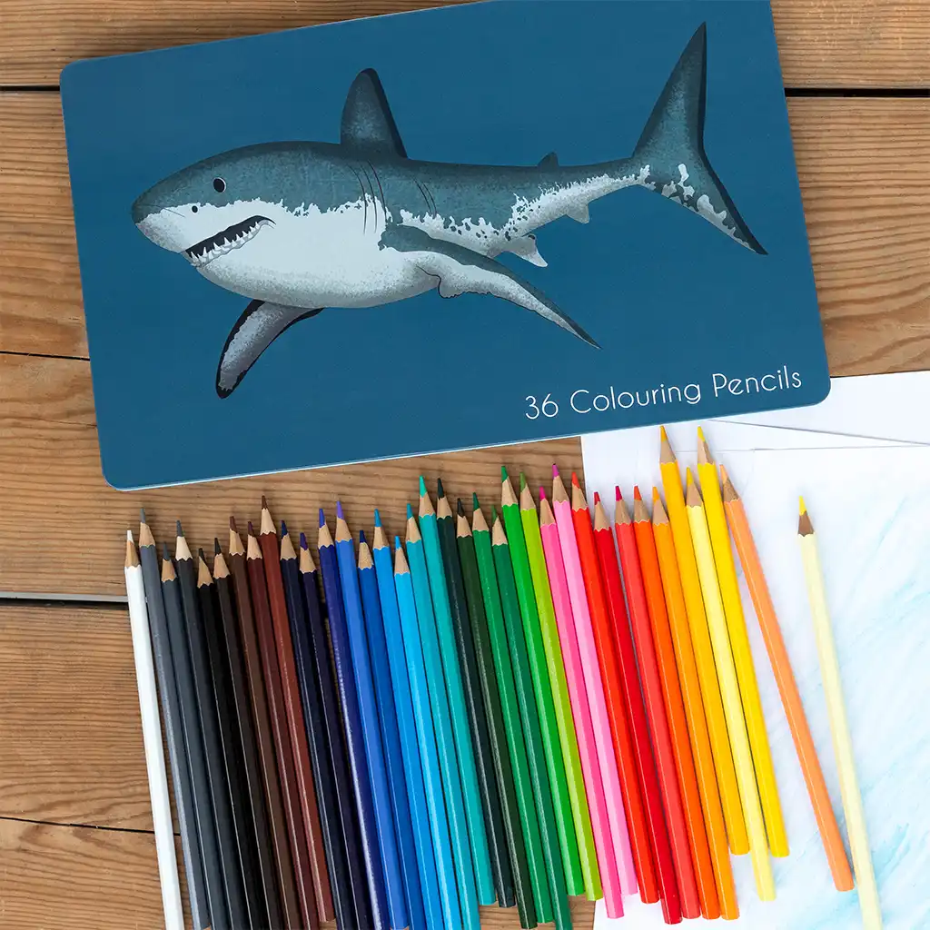 36 colouring pencils in a tin - sharks