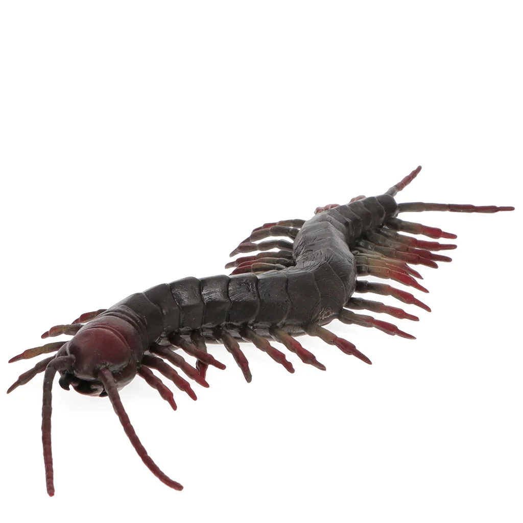 realistic centipede toy