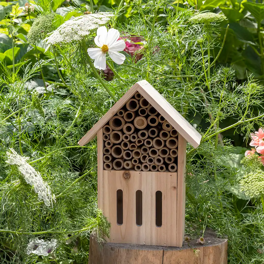 hotel para mariposasyabejas your garden