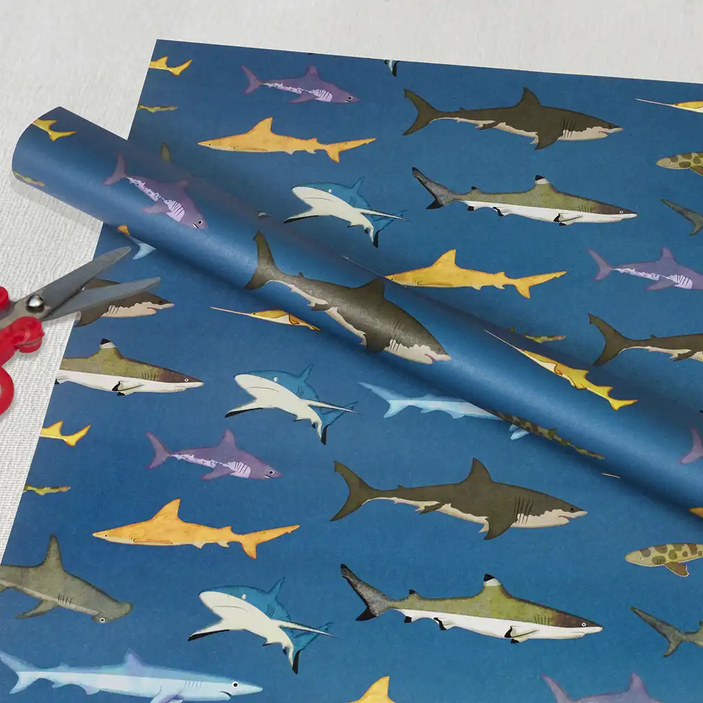 feuilles de papier cadeau - sharks