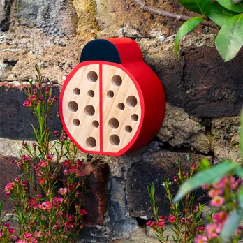 wooden ladybird hotel wooden ladybird hotel