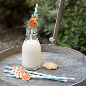 party-strohhalme rusty the fox party-strohhalme rusty the fox