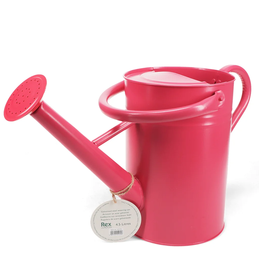 galvanised steel watering can 4.5l - red