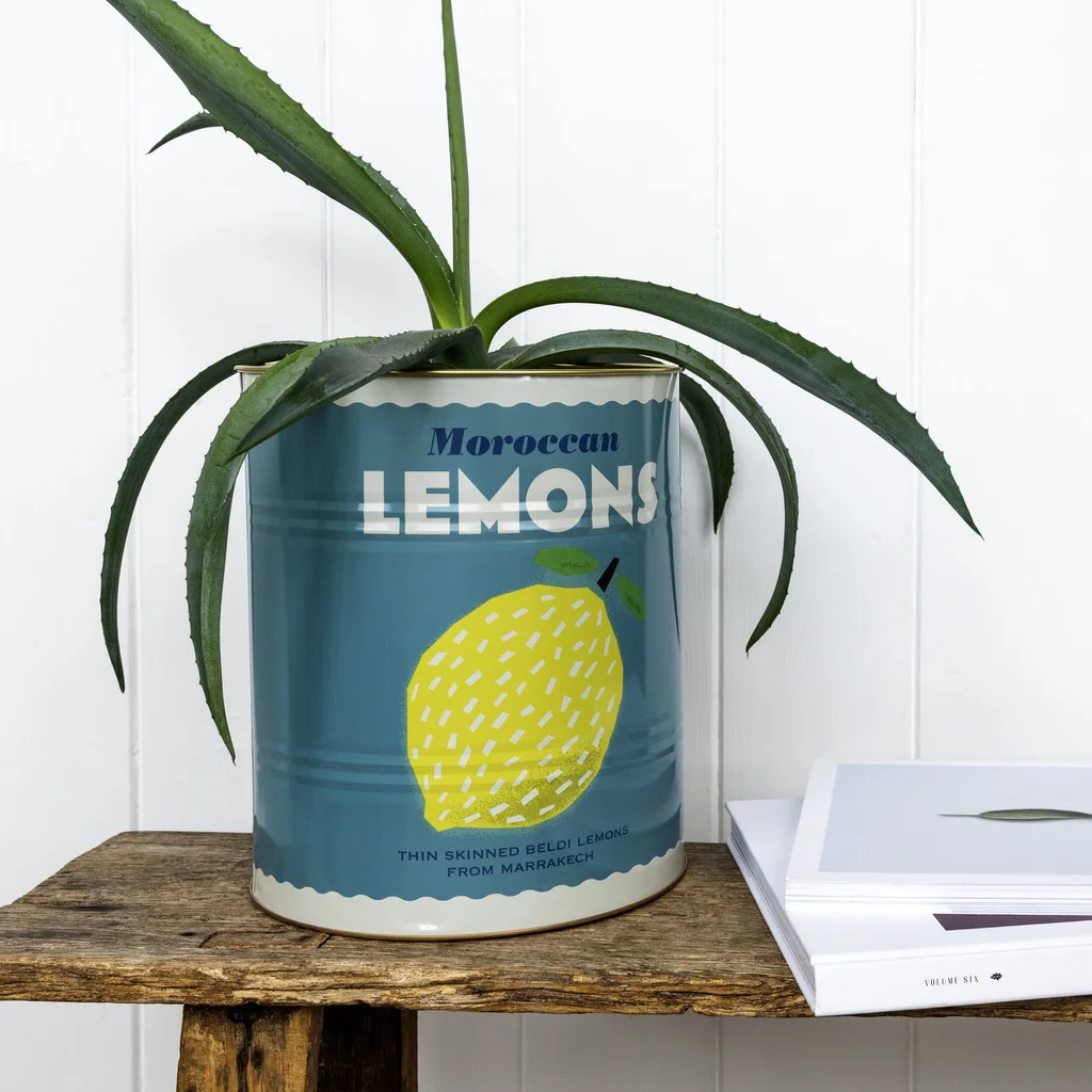 large storage tins (set of 2) - lemons and harissa