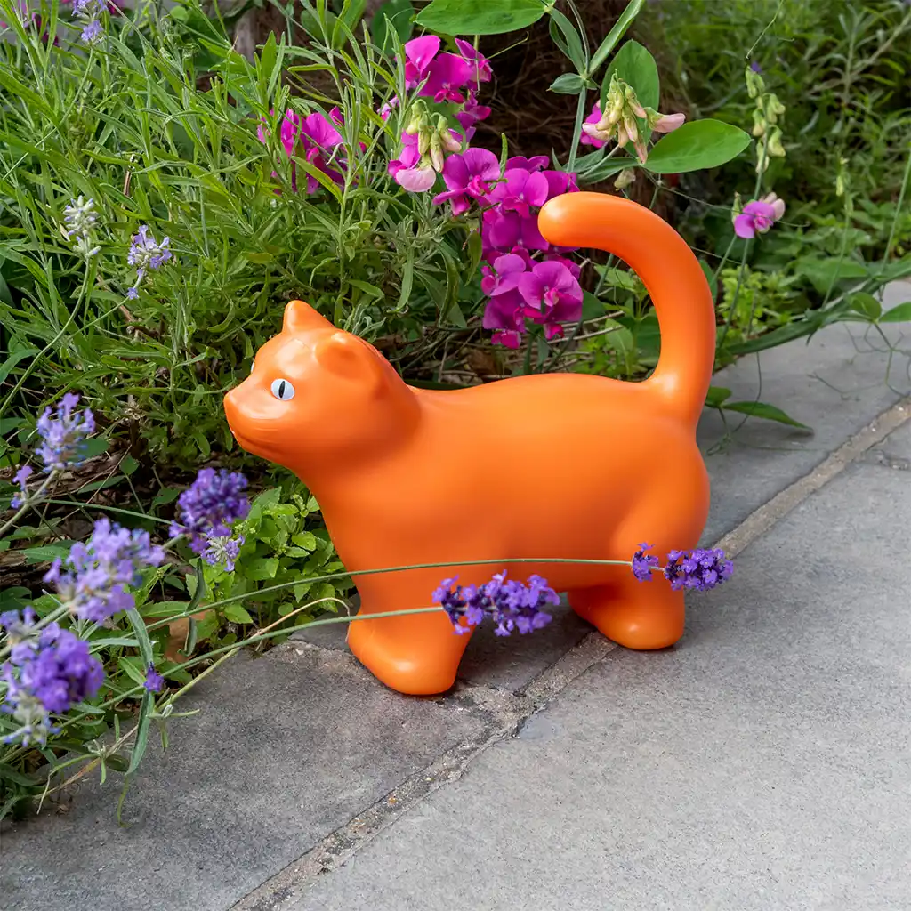 watering can (1.5ltr) - cat