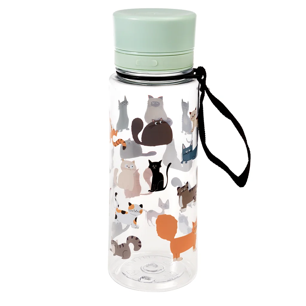 bouteille d'eau 600ml nine lives