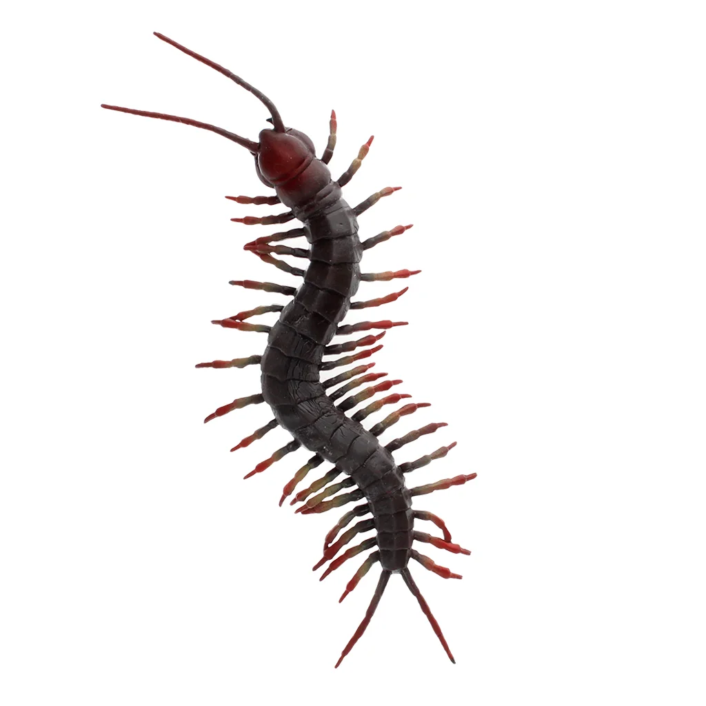 realistic centipede toy