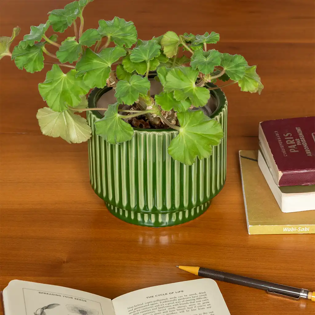 ridged plant pot - green