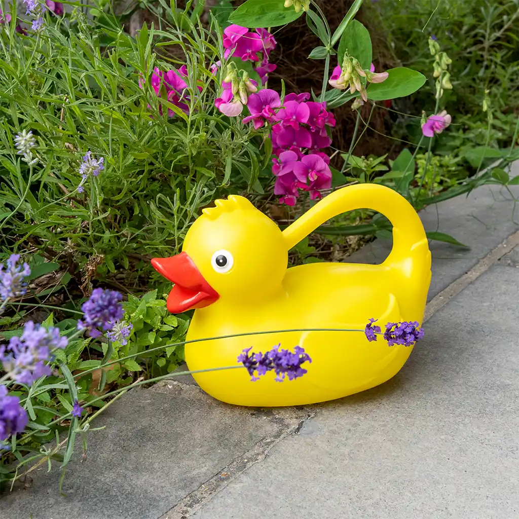 watering can (1.8ltr) - yellow duck