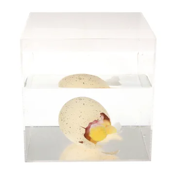 giant hatching fairy egg - fairies in the garden giant hatching fairy egg - fairies in the garden