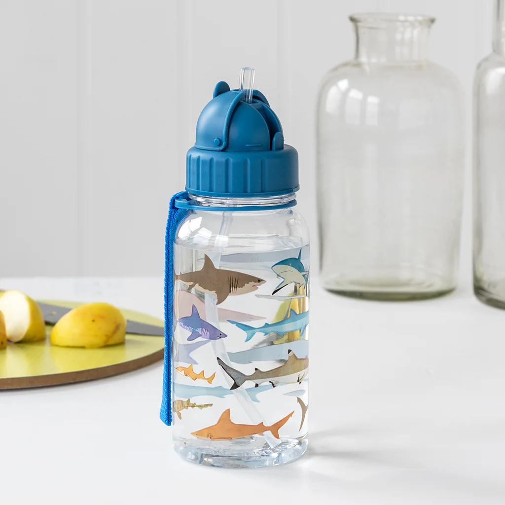 bouteille d'eau pour enfants 500ml sharks