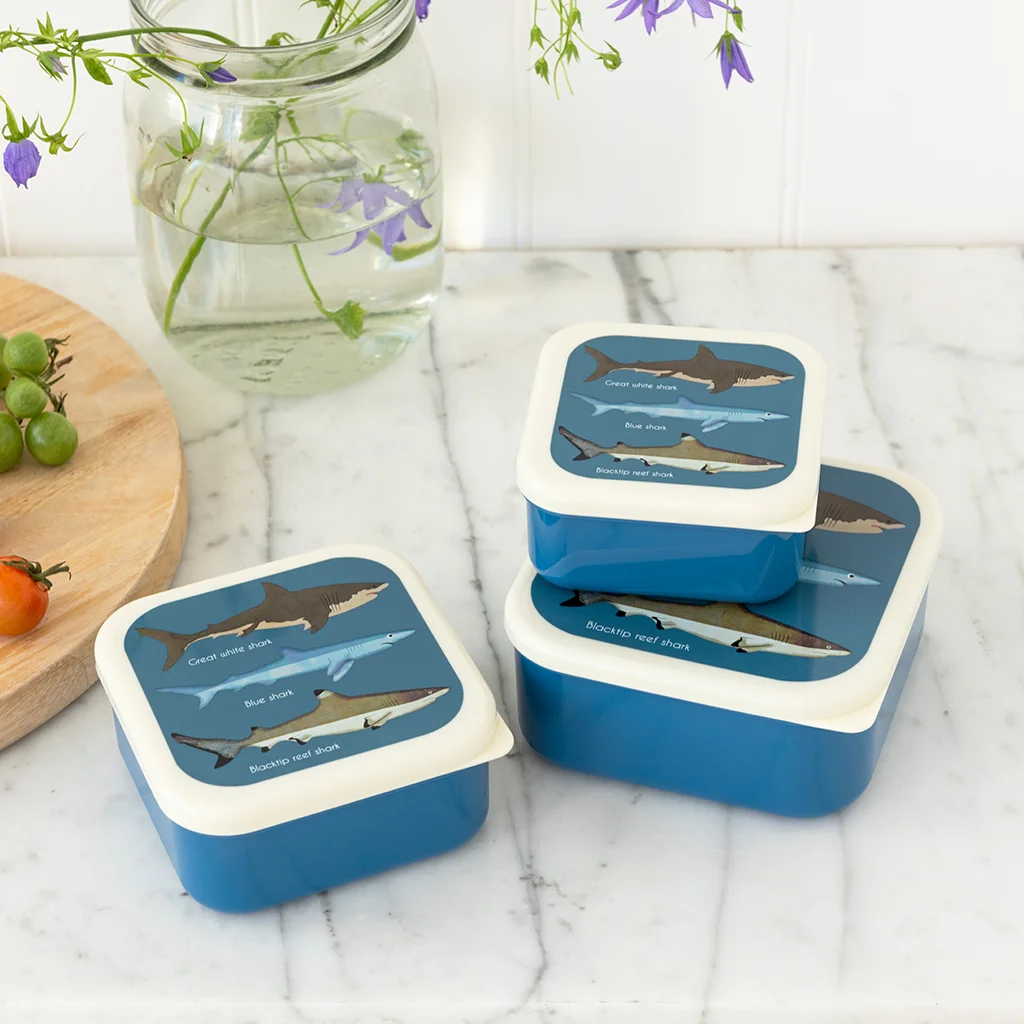 snack boxes (set of 3) - sharks