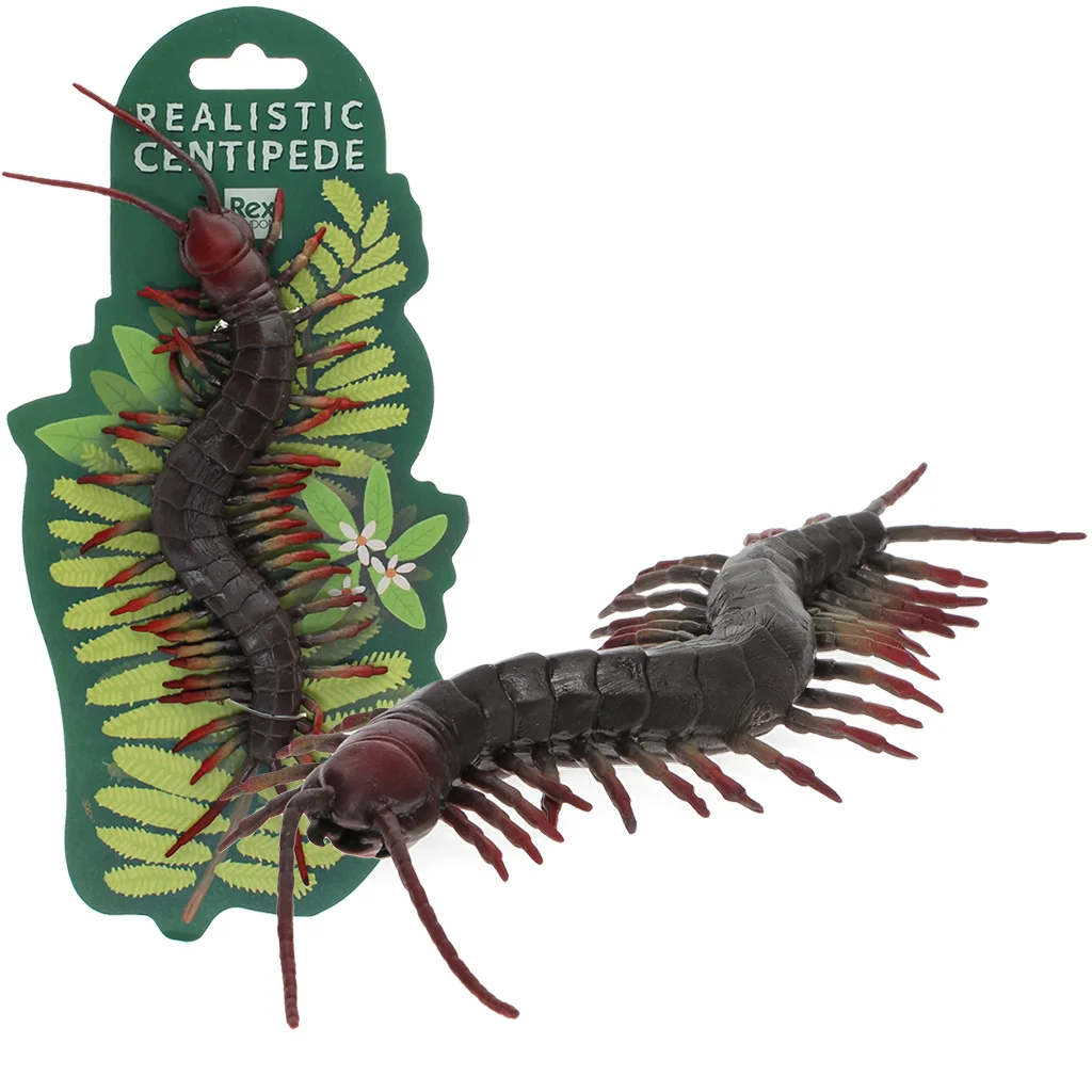 realistic centipede toy