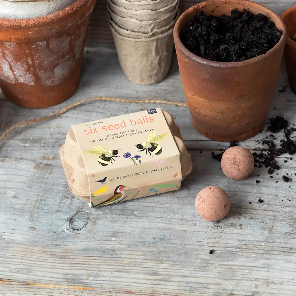 seed balls (box of 6) - your garden