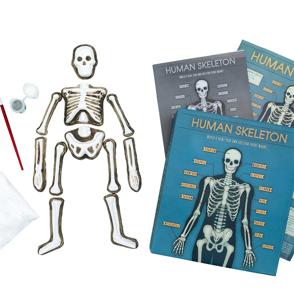 make your own glow in the dark magnetic skeleton