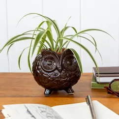 owl plant pot owl plant pot