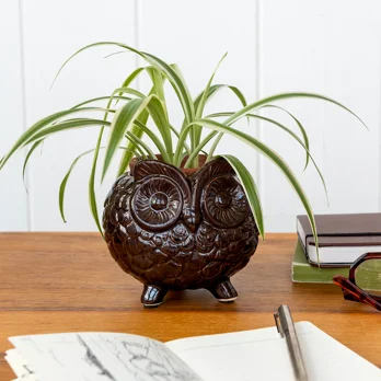 owl plant pot owl plant pot