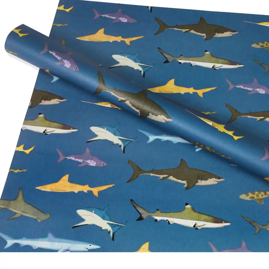 feuilles de papier cadeau - sharks