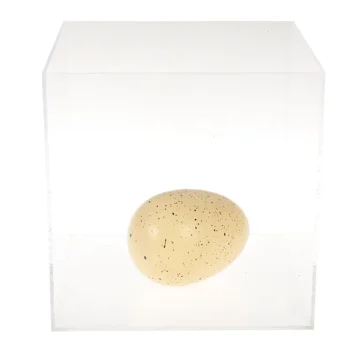 giant hatching fairy egg - fairies in the garden giant hatching fairy egg - fairies in the garden